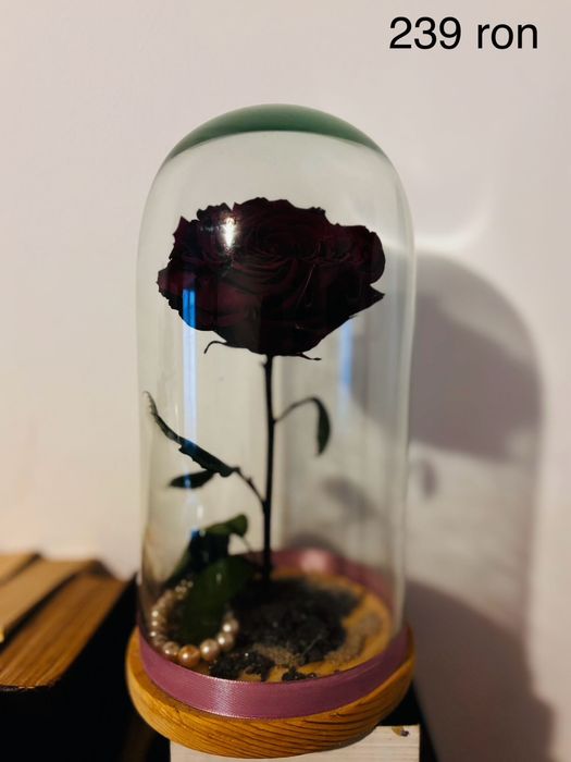 Cadou Tradafir Criogenat Naturali Facut Manual