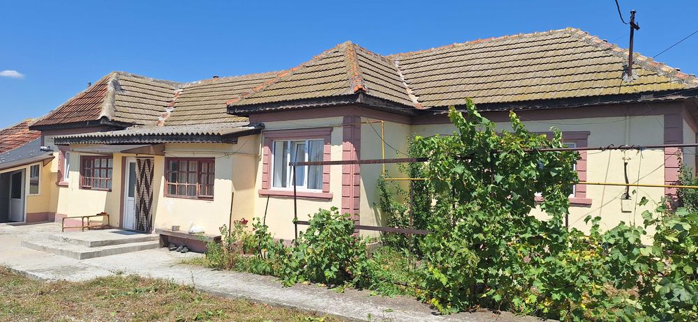 Casa de inchiriat Mihail Kogalniceanu