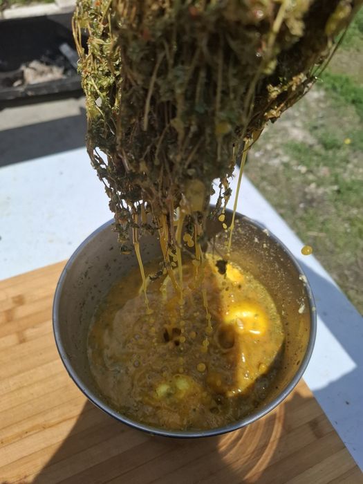 Proțap porc oaie pui.