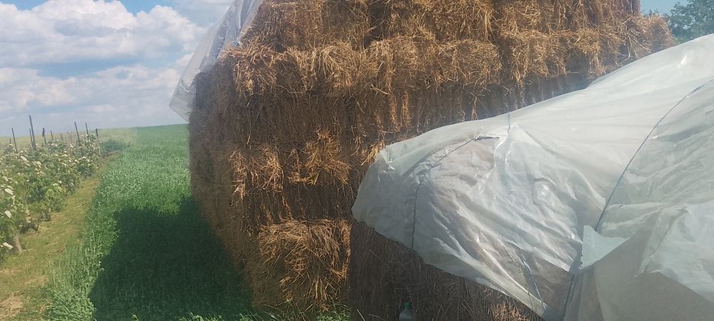 Baloti de Fân  prima coasă