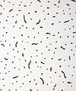 Армстронг простой