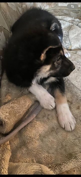 Ищем дом для малыша