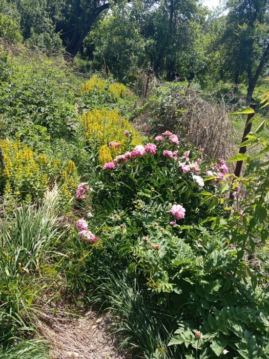 Продам участок….