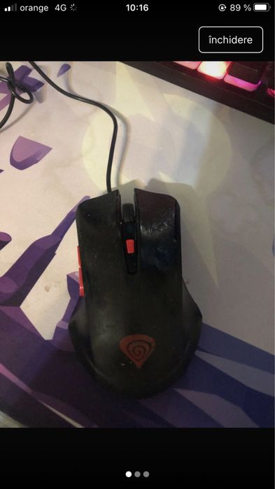 Mouse genesis utilizat foarte bun un pic folosit