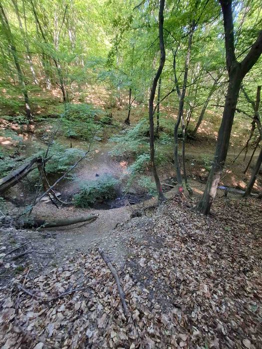 Гористи парцели в гр.Банкя