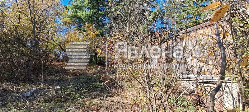 ЯВЛЕНА ЛАГЕРА продава парцел в с. Мала Раковица