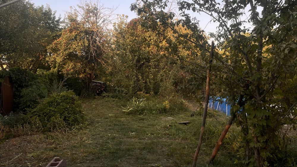 Дача село Болек