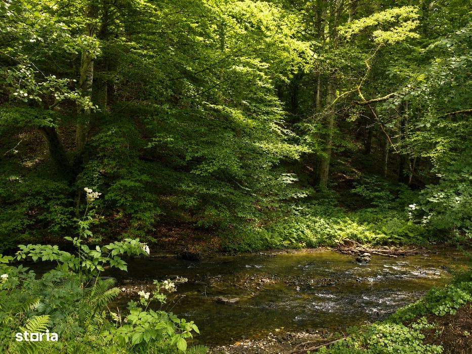 Casă de vacanță in Câmpu Cetății,teren  2.400 mp, lângă râu și pădure