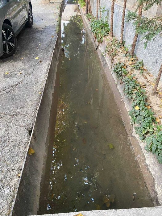 Участок. 8.5 соток. Мать и дитя