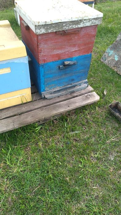 Продам деревянные улья