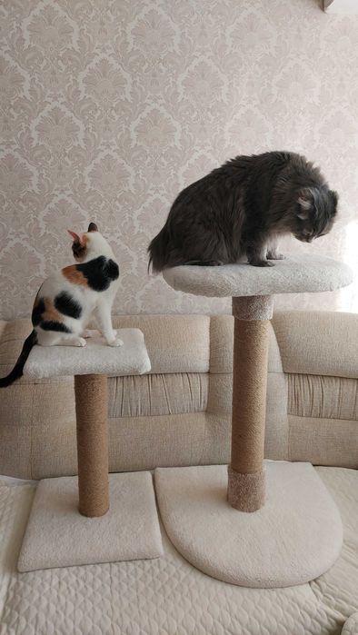 Когтеточка  90 см новая