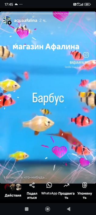 Помпа в Афалине.ниже Аль Фараби.по Навои