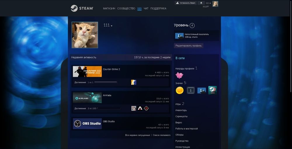 Faceit 10 LVL, 4500 Часов, Прем+