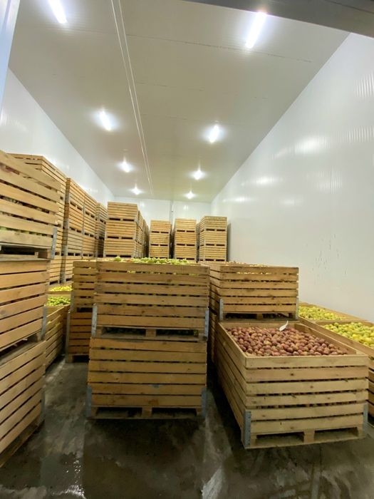 Фруктохранилище действующее.