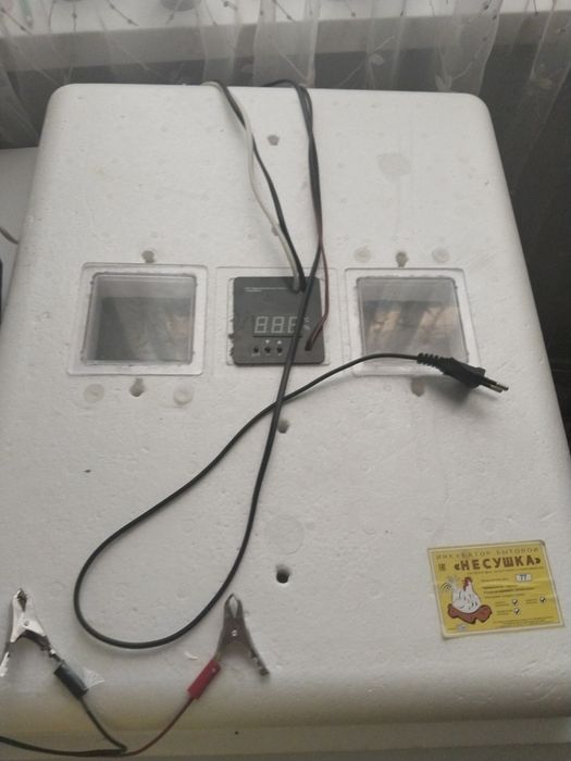 Инкубатор 77 яиц