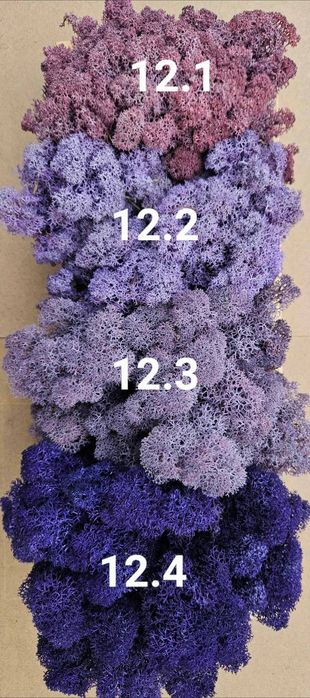 Скандинавски мъх 6 лв. за 100 г.