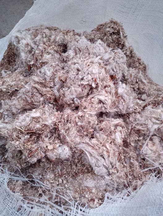 Chulug', (uluk , shulxa, chulqa) mol uchun yem