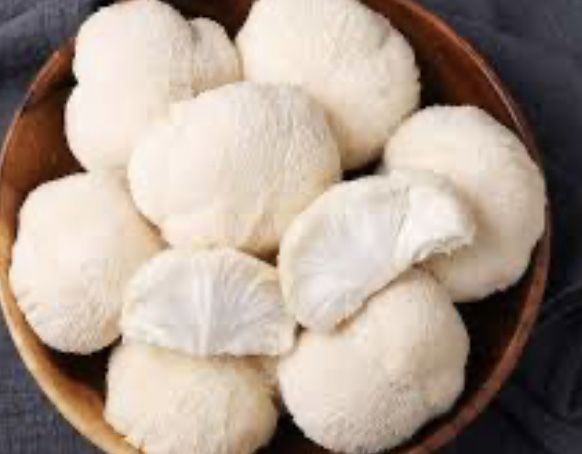 Ежовик гребенчатый Герициум