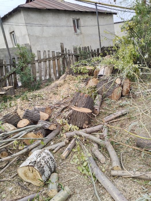 Продано не звонит и