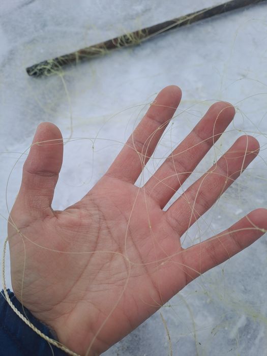 Теливезор сетка зимни готовыи сатылады