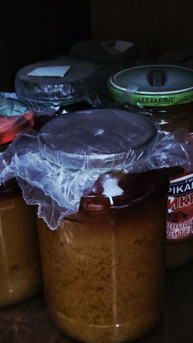 ASAL- ( 7-yilik. Kg 150 000 )