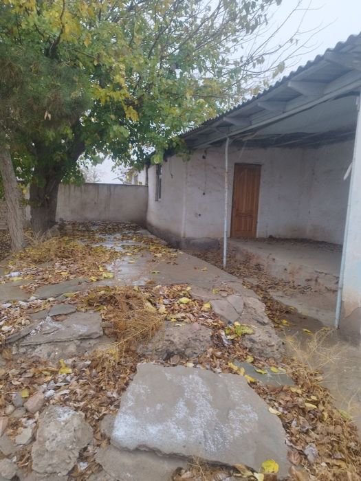 Учкизил катта кумдв 2 та уй