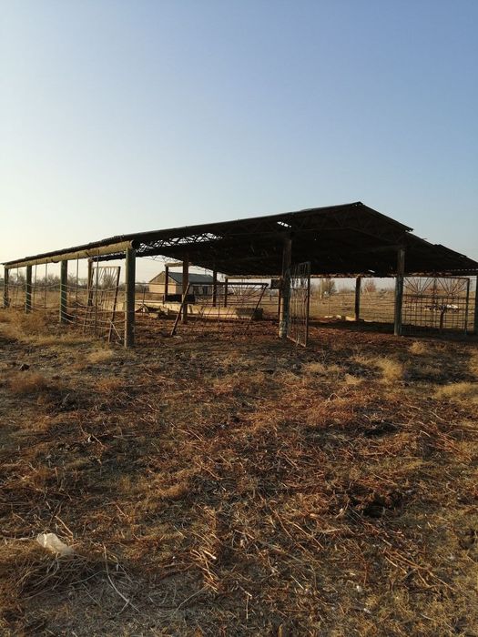 Bo'rdoqichilik bazasi sotiladi barcha xususiy mulk