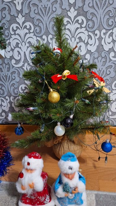 2000 тенге. Маленькая ёлка. 0.5 метров без игрушек