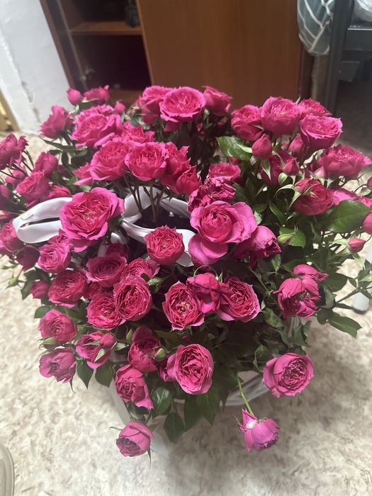 бүгін келді 25-30 келисемызз