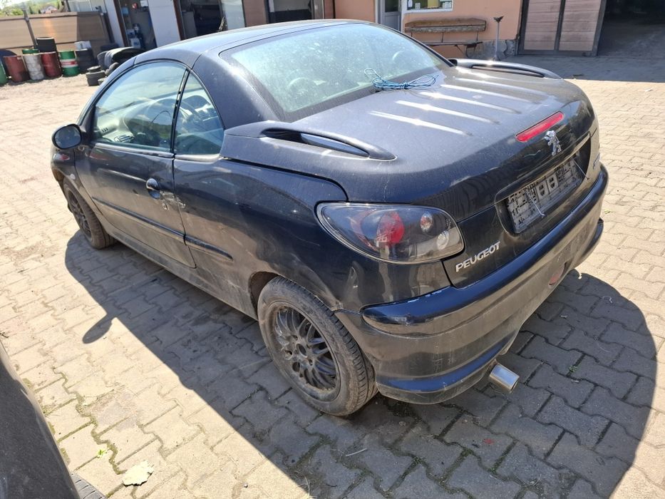 Elemente Caroserie Peugeot 206 CC An 2005