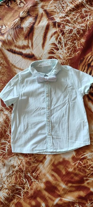 Комплект шорты и рубашка