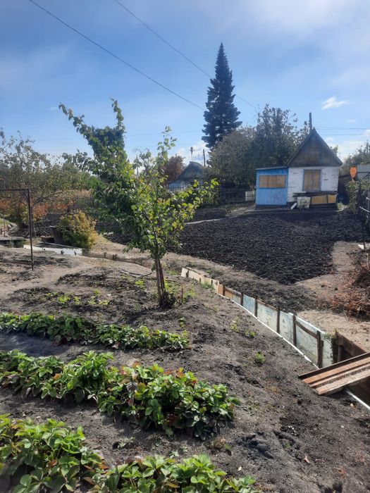 Продается дача в п. Новая Бухтарма