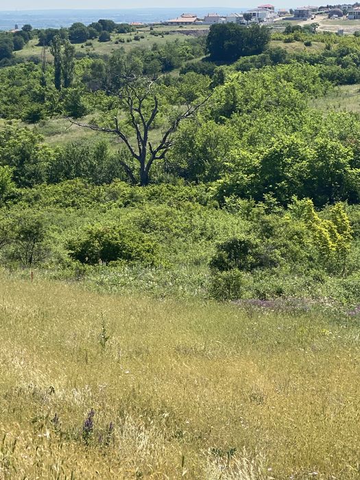 Земеделска земя Белащица/Марково
