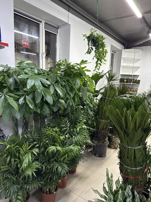 Продам готовый бизнес