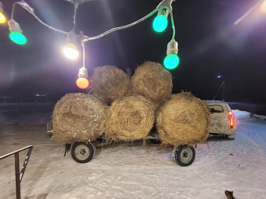 Шөп жеткізуімен 15 000₸ Қосшы, Арқалық көшесі 32/1