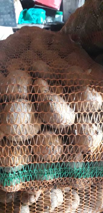 Vând cartofi de mâncat!