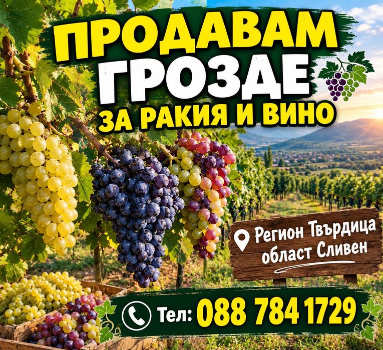 Продавам грозде за вино и ракия регион Твърдица област Сливен