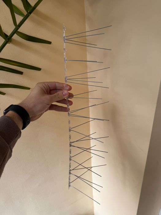 Шипове против птици