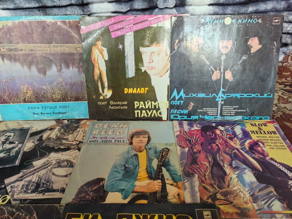 Виниловые пластинки.