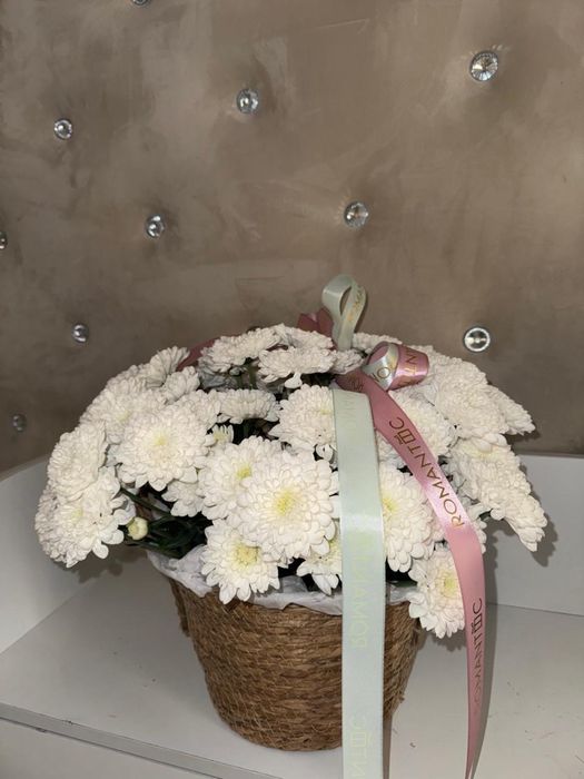 Цветы, хризантема