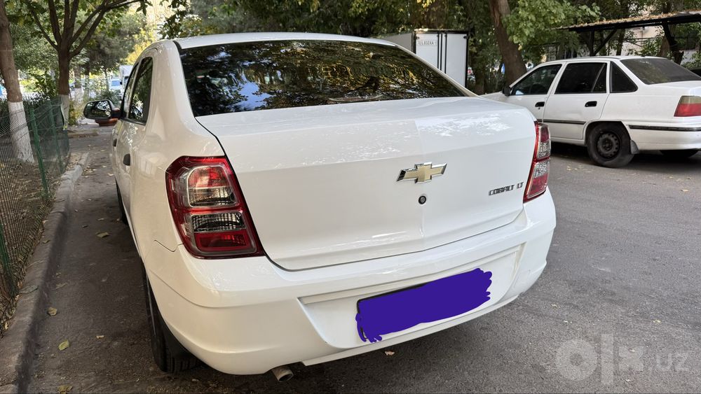 Tozza Cobalt, 2019, 2-позиса
