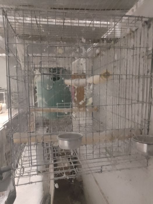 Клетки за средни папагали