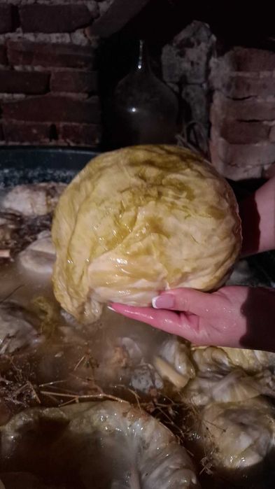 Varza murata  pentru sarmale