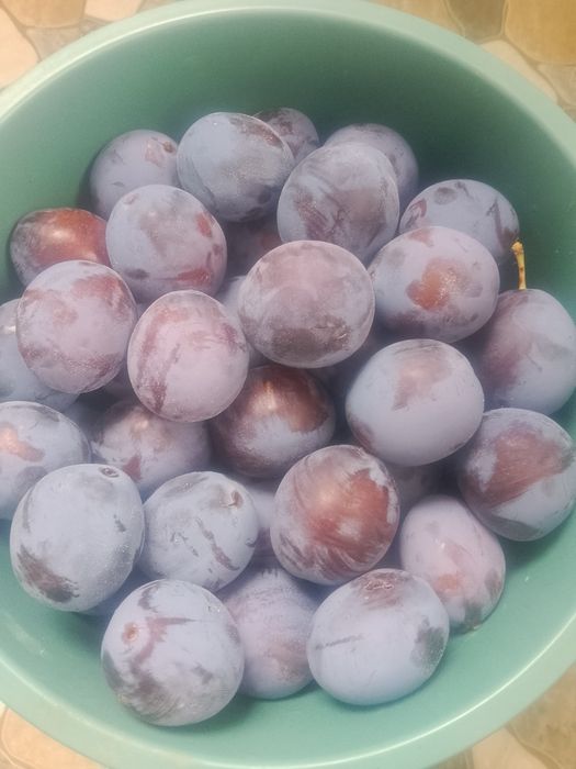 Vand prune pentru dulceata sau compot