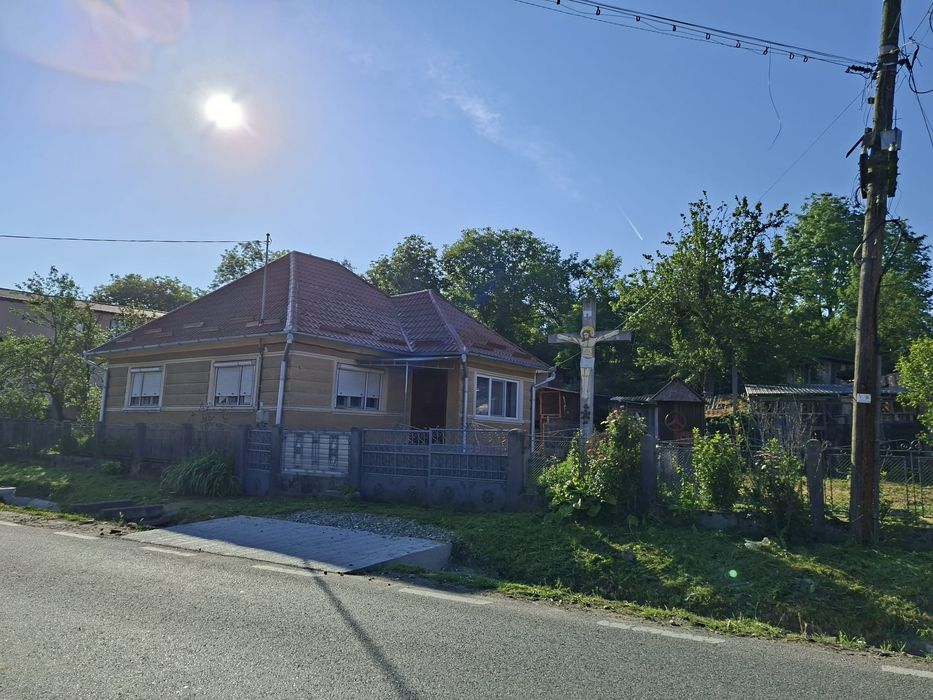 Vand casa in Mica