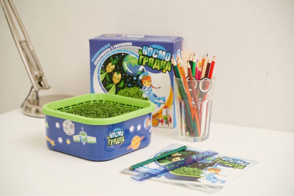 Проращиватель для детей «Космогрядка»