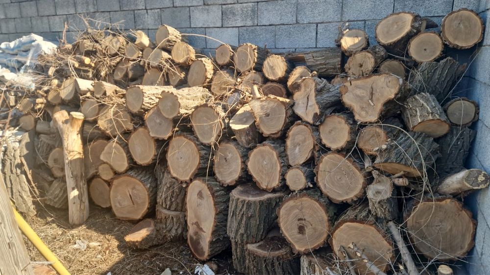 Продам дрова карагач