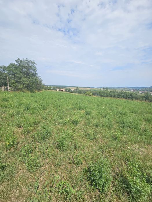 Casă 82 mp cu teren de 10.000 mp intravilan, șură și grajd