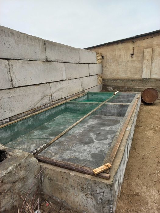 Дом с бизнесом для семьи