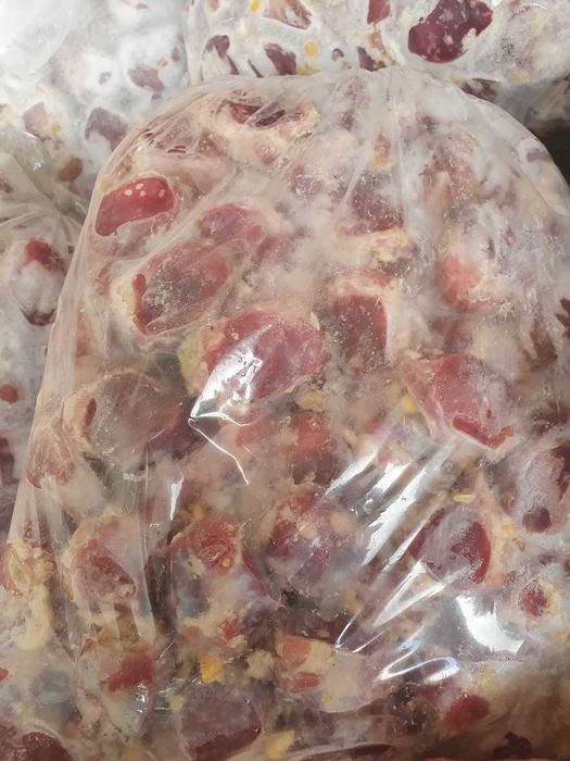 Месо  за  Кучета